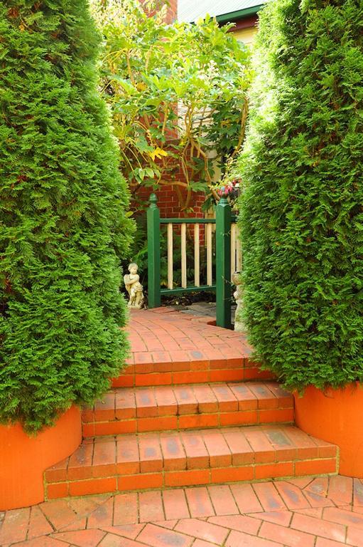 Bed and Breakfast Mary Cards Coach House Olinda Pokoj fotografie